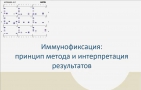 Иммунофиксация