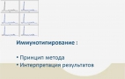 Иммунотипирование